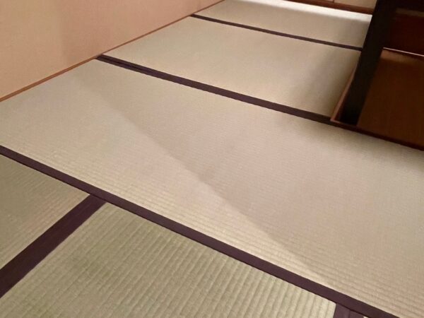 国産い草表、茶縁付き拡大画像。
